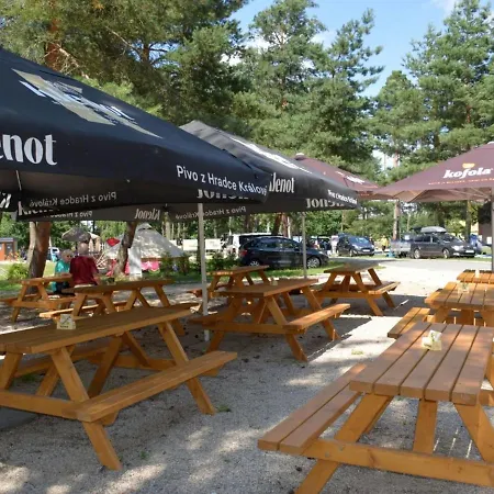 Dom wakacyjny Stribrny Rybnik-12 By Interhome *