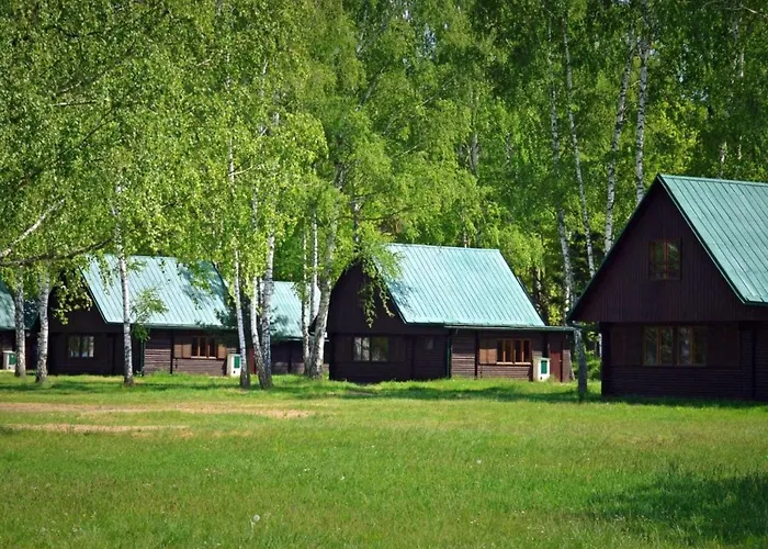 Semesterbostad Stribrny Rybnik-12 By Interhome