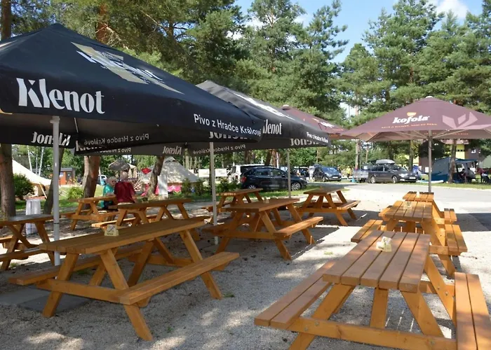 Semesterbostad Stribrny Rybnik-12 By Interhome *